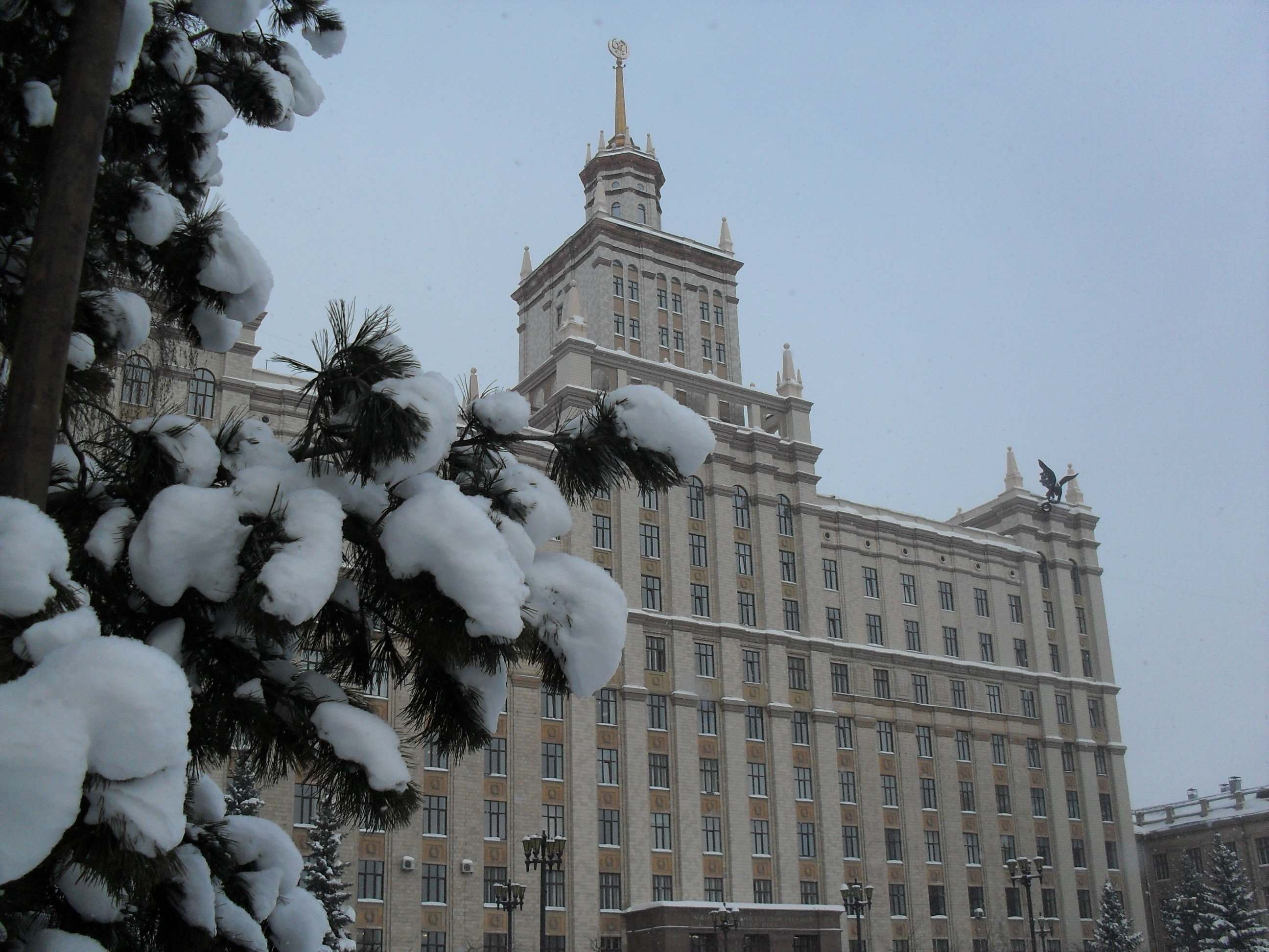 Южно уральский государственный сайт