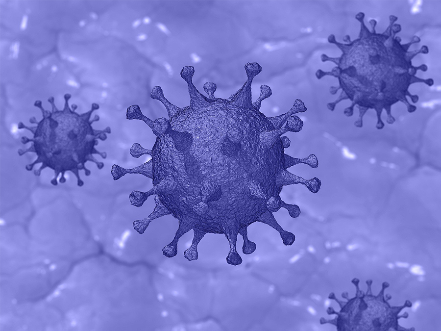 الفيروسات Test antivirus