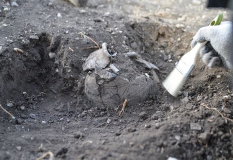 На Южном Урале археологи исследовали уникальный геоглиф: 70-метровую «подкову»