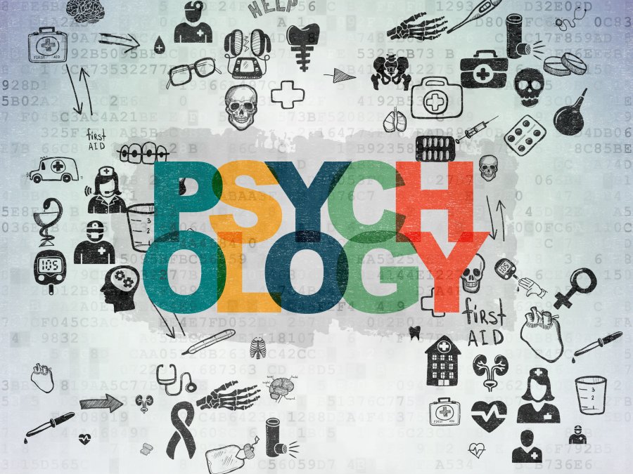 Курсы и тренинги по психологии